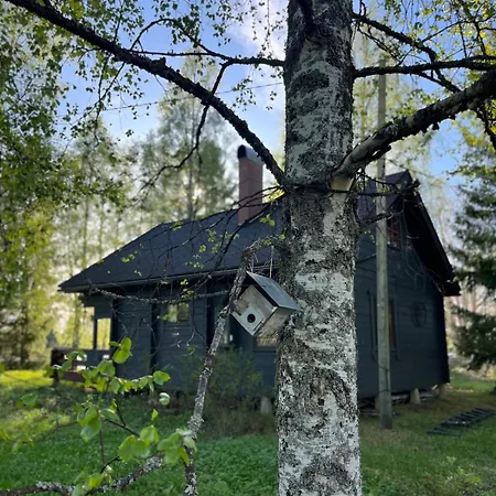 Chalet Private Riverside Cabin, Utajaervi